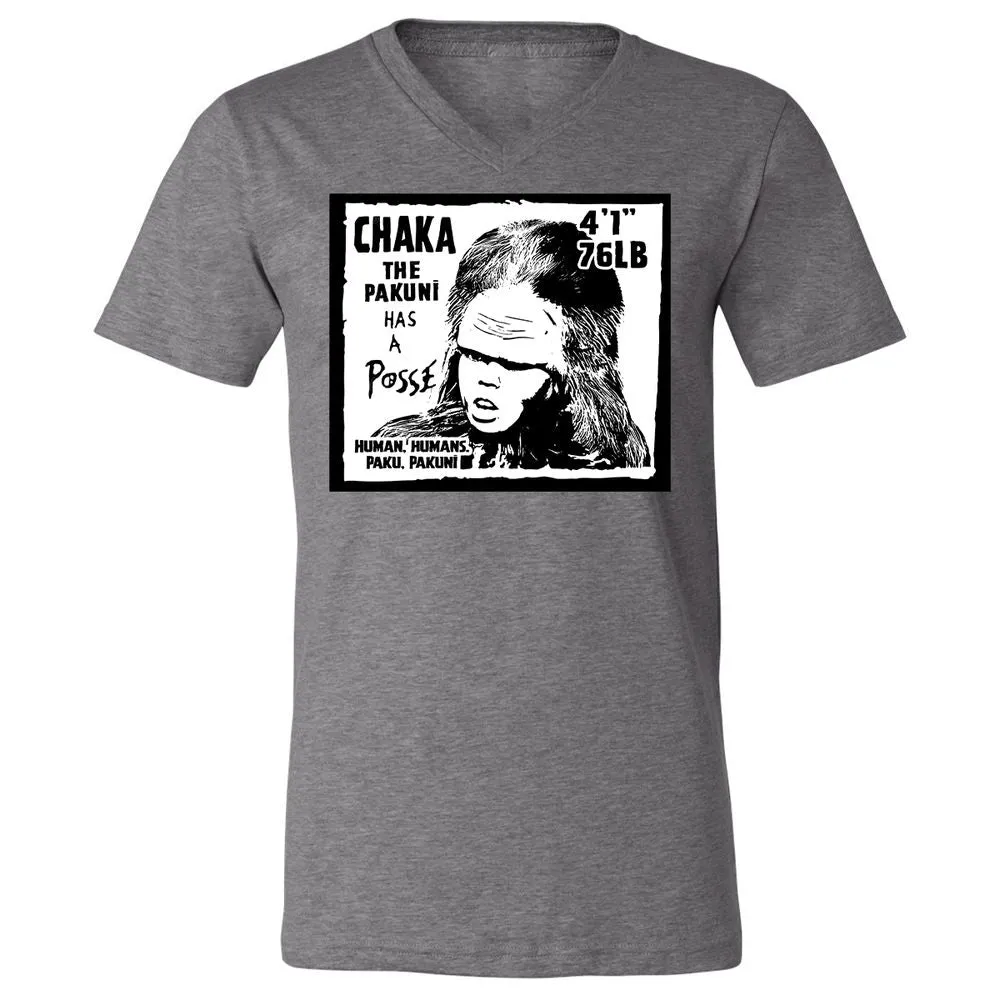 Unisex V-Neck T-Shirt - HWTV1J9A - Deep Heather - 13