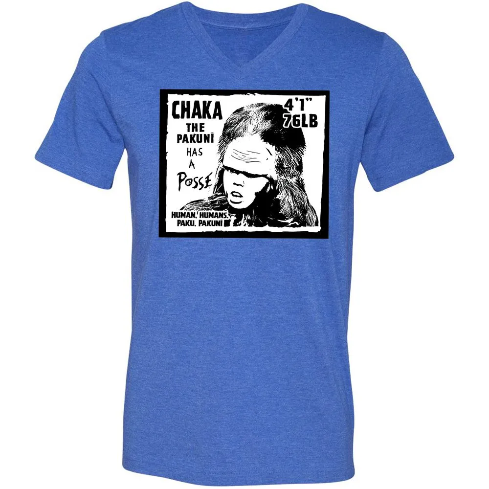 Unisex V-Neck T-Shirt - HWTV1J9A - Heather True Royal - 14