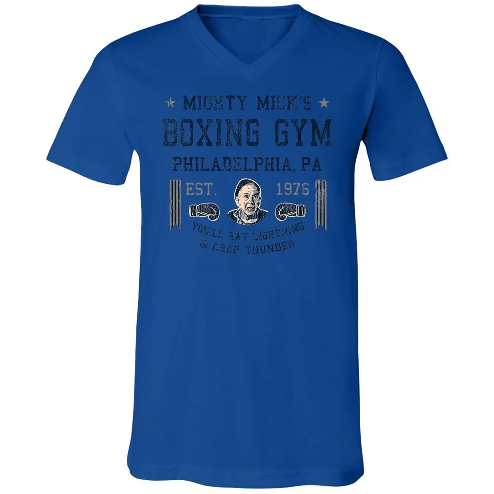 Mighty Mick Boxing Gym - True Royal - 4