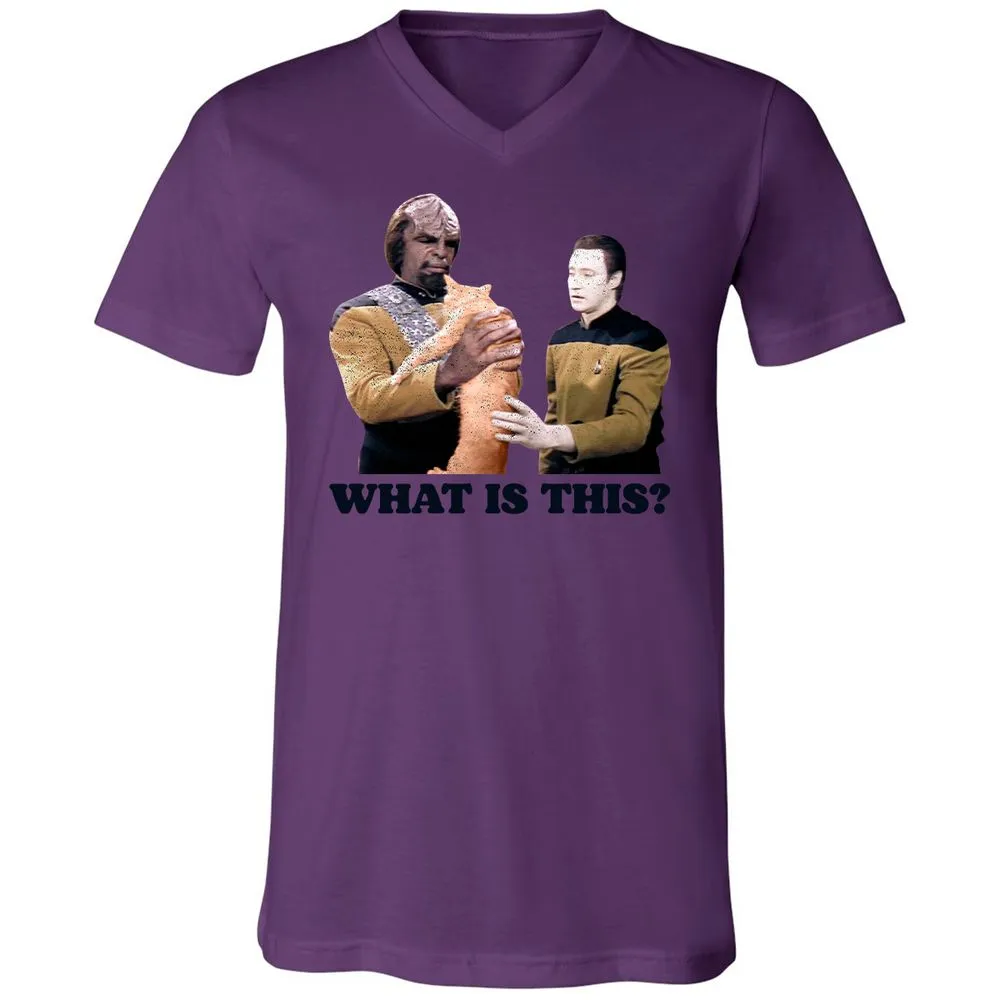 Unisex V-Neck T-Shirt - YKNF1RGE - Team Purple - 2