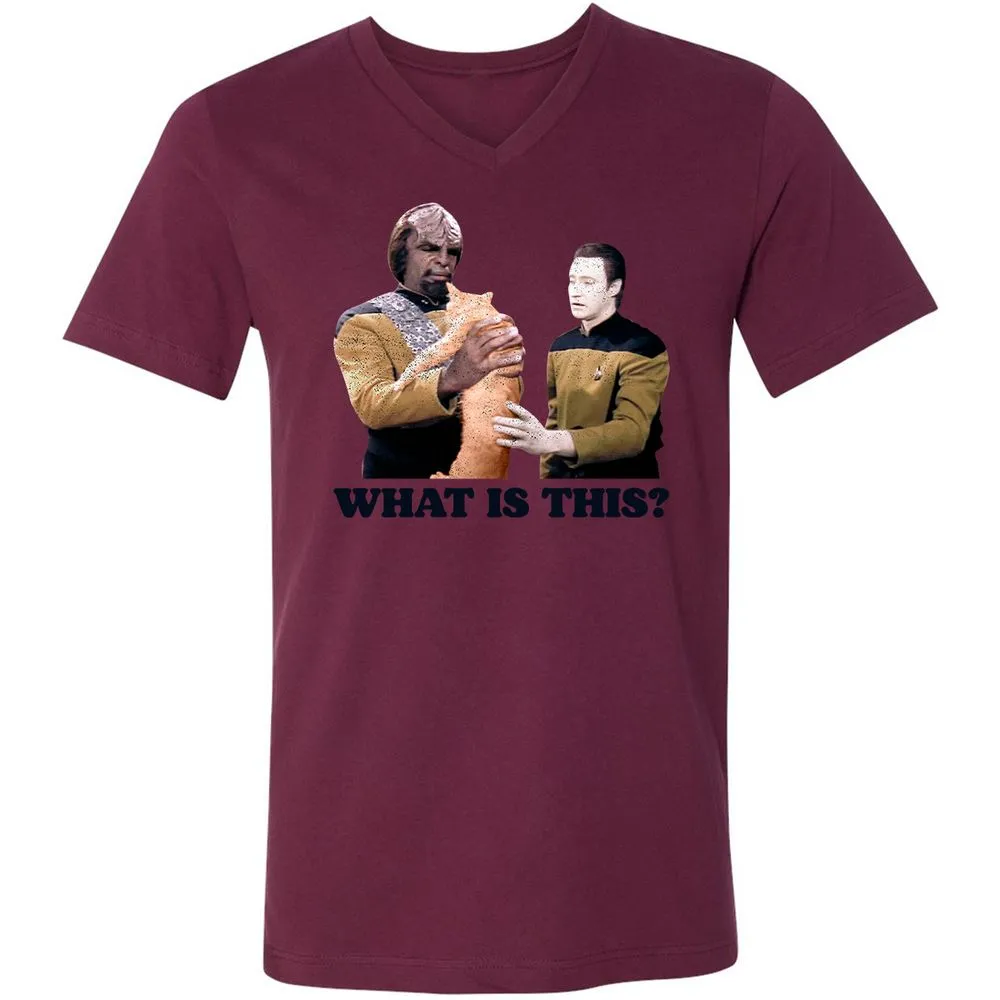 Unisex V-Neck T-Shirt - YKNF1RGE - Maroon - 6