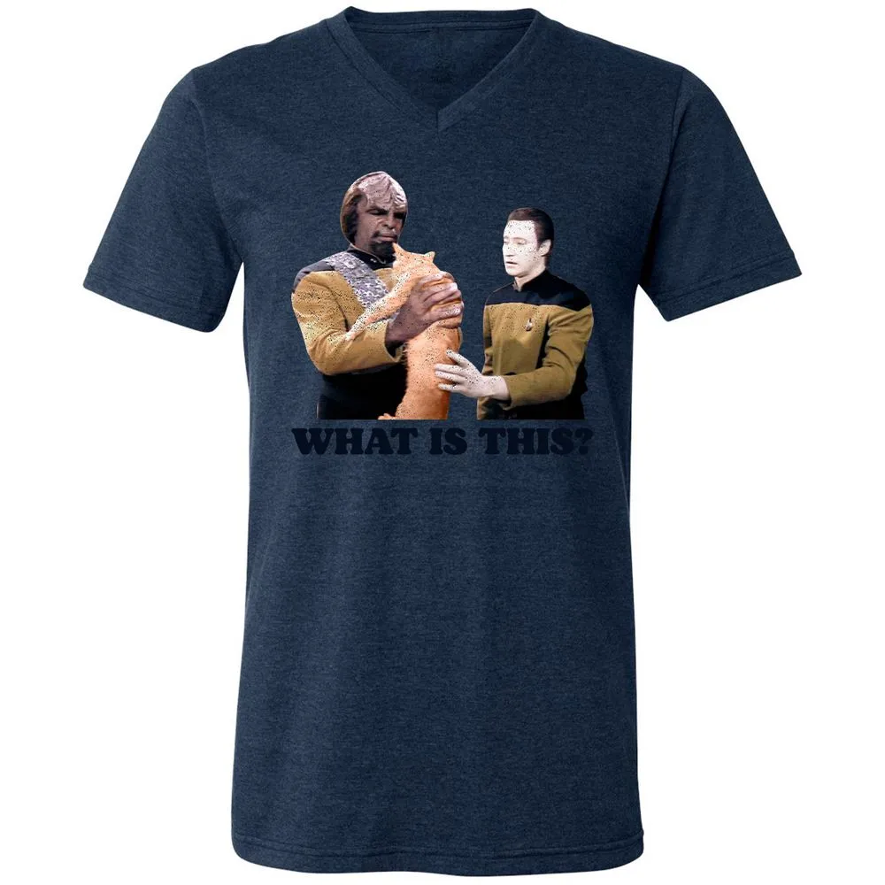 Unisex V-Neck T-Shirt - YKNF1RGE - Heather Navy - 15