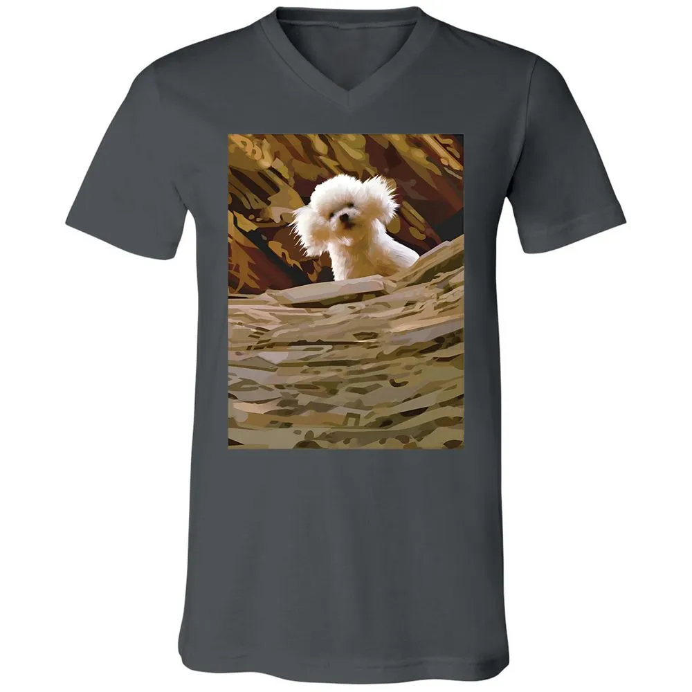 Precious Bichon - Asphalt - 12