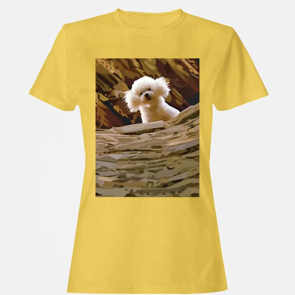 Precious Bichon - Daisy - 4