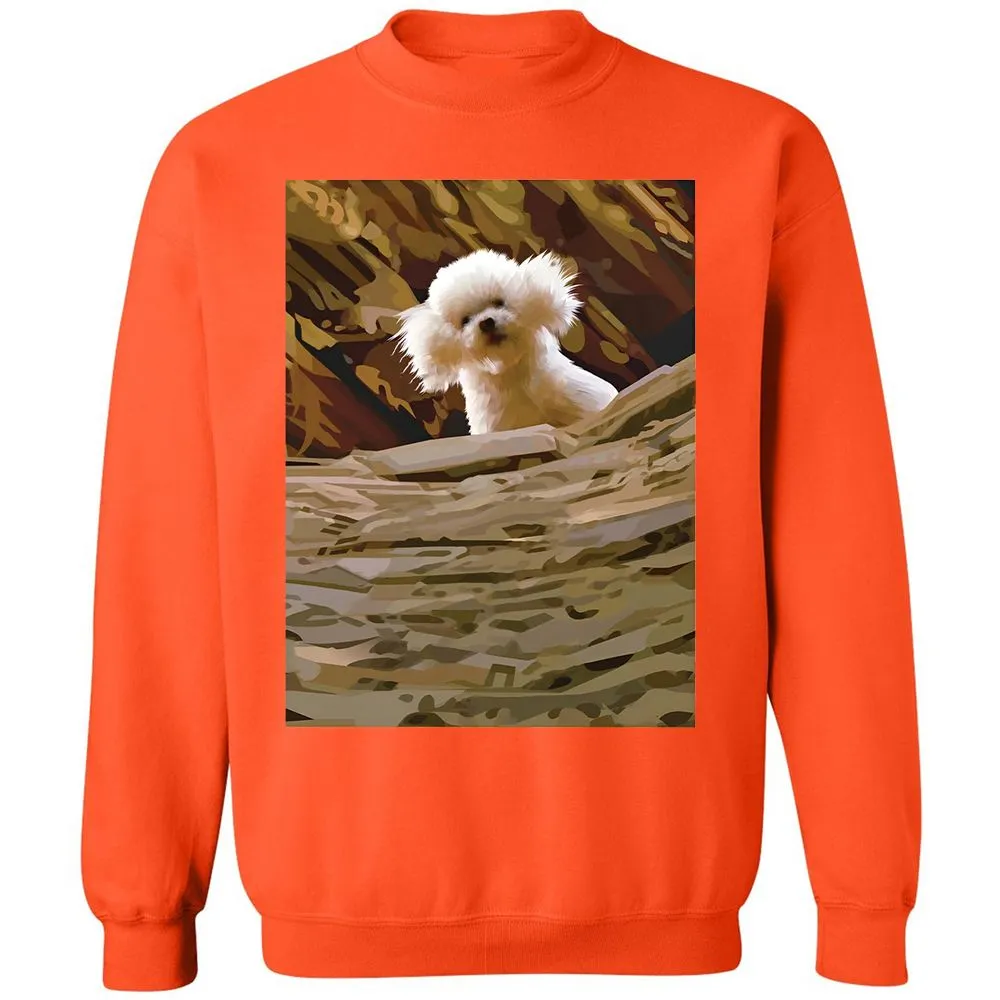 Precious Bichon - Orange - 10