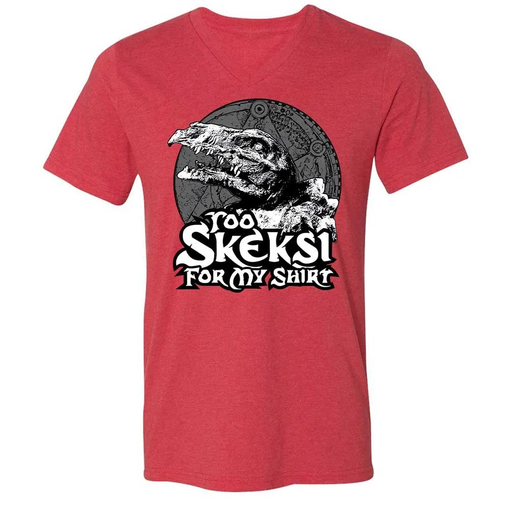 Unisex V-Neck T-Shirt - D7Z6V5R3 - Heather Red - 7