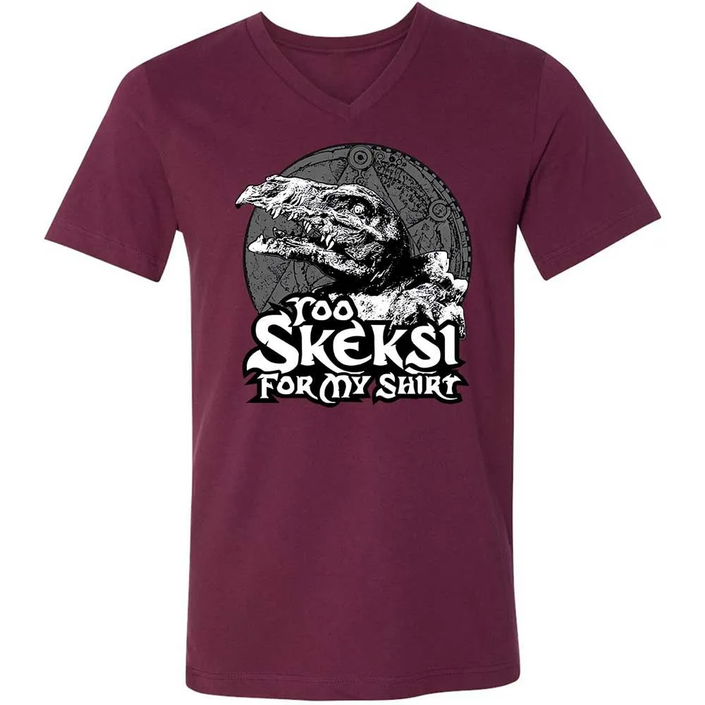 Unisex V-Neck T-Shirt - D7Z6V5R3 - Maroon - 8