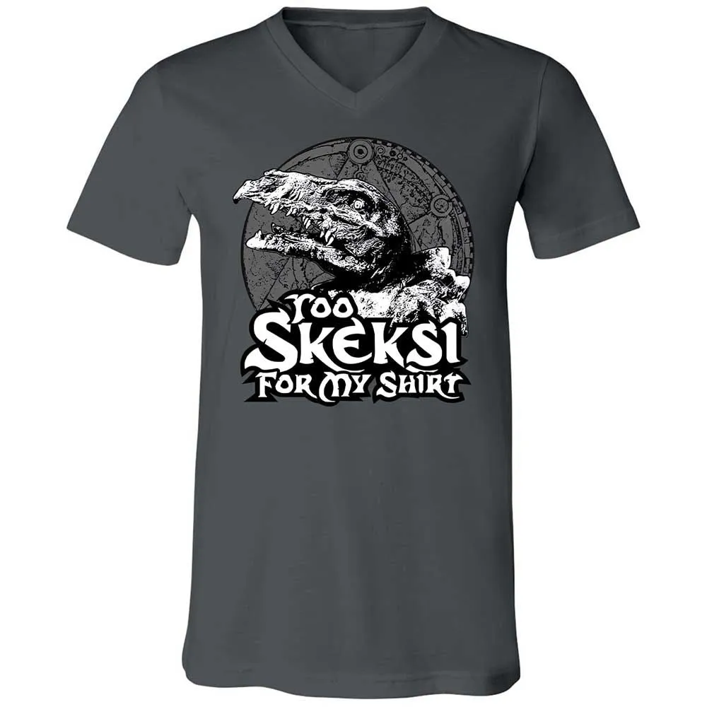 Unisex V-Neck T-Shirt - D7Z6V5R3 - Asphalt - 13