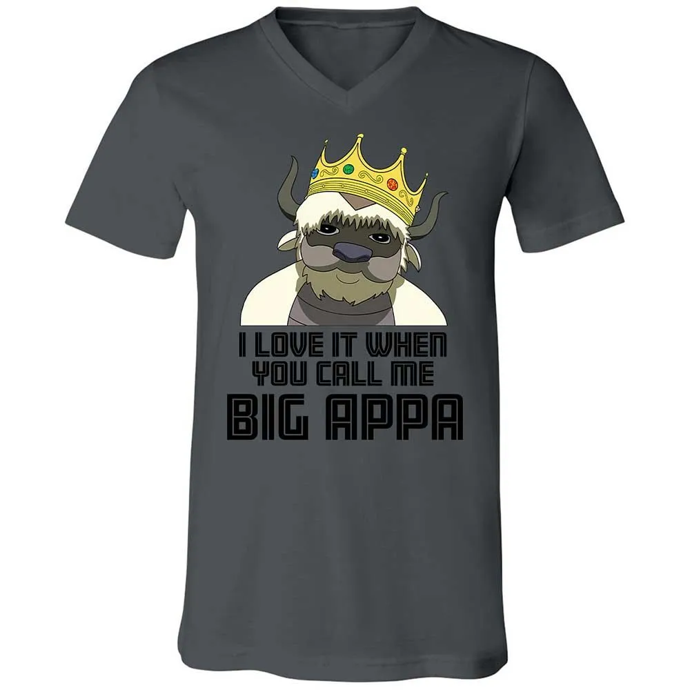 Call me Big Poppa - Asphalt - 16
