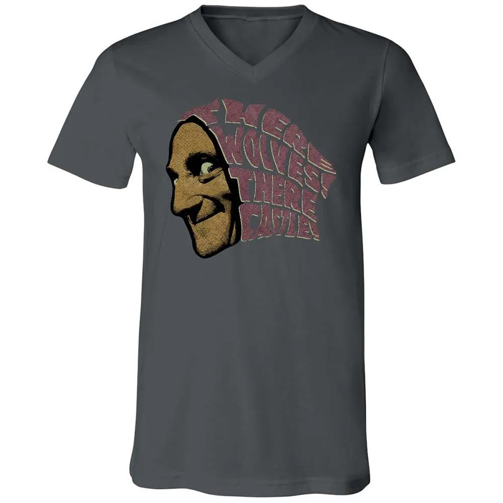 Unisex V-Neck T-Shirt - 8KGJX2QM - Asphalt - 13