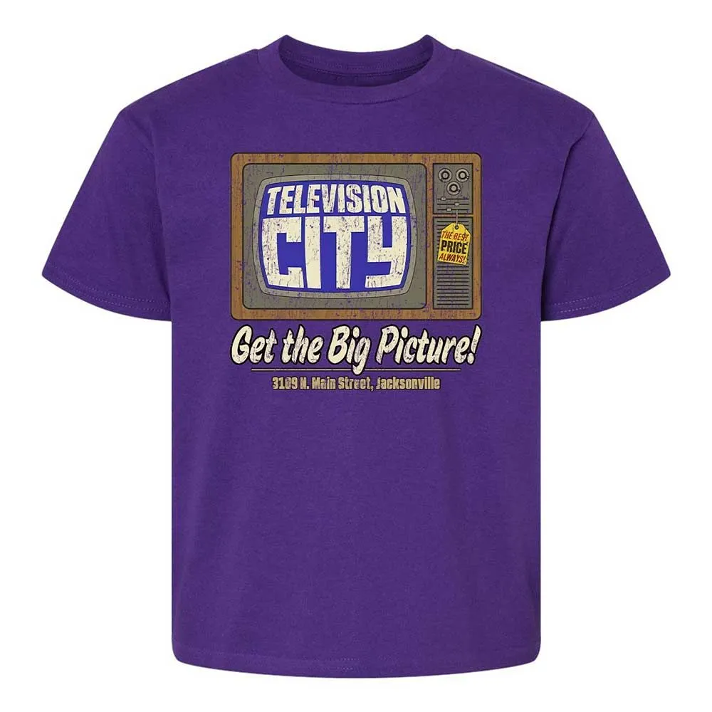 Get the Big Picture - Purple - 17