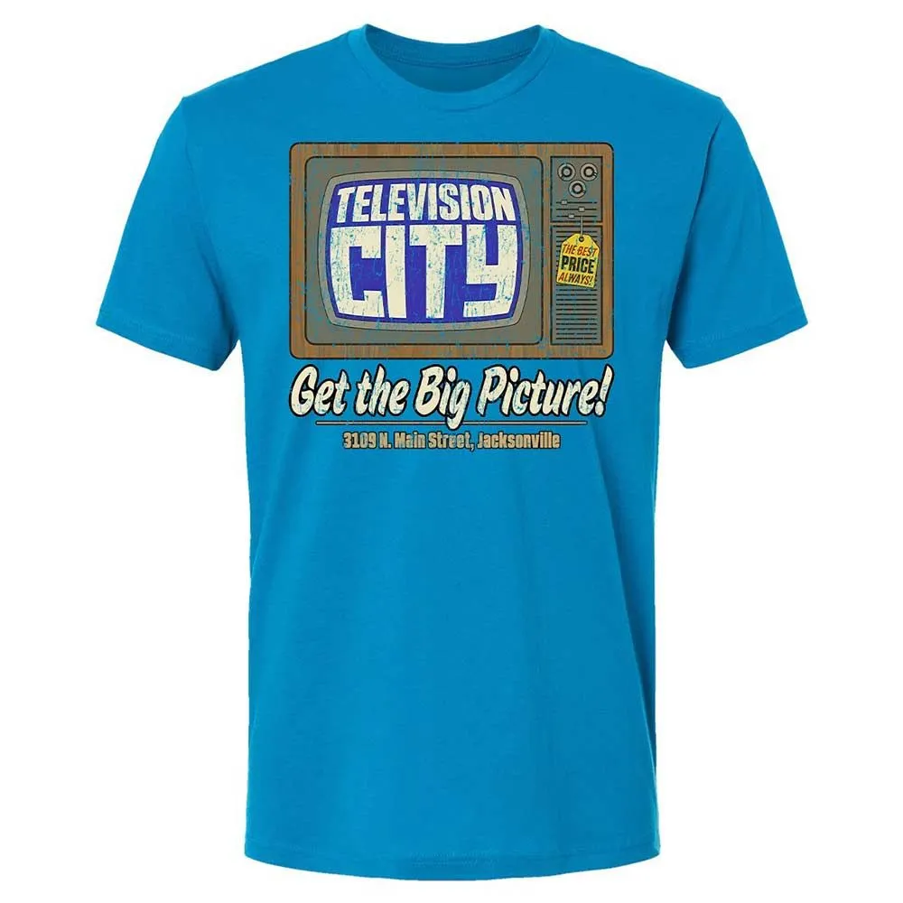 Get the Big Picture - Turquoise - 15