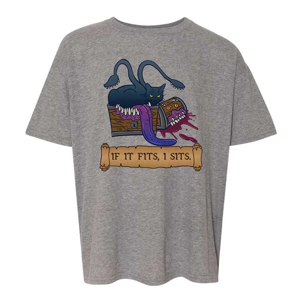 If It Fits I Sits Kids T-Shirt - Graphite Heather - 18