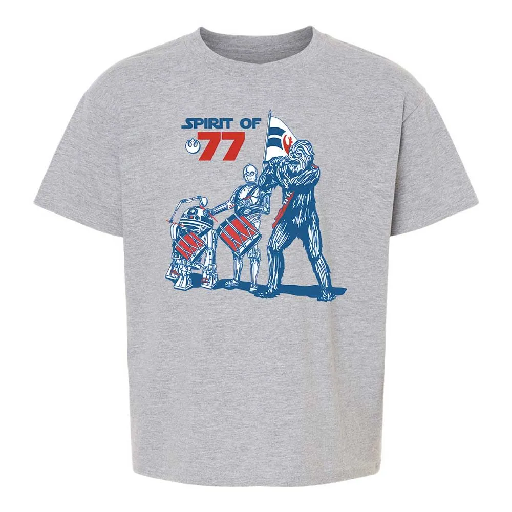 Spirit of 77 - Sport Grey - 2