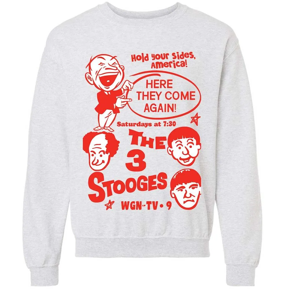 The 3 Stooges - Ash - 2