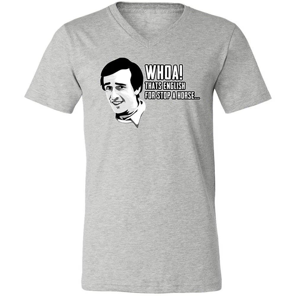 Unisex V-Neck T-Shirt - Z1CLFRU4 - Athletic Heather - 15