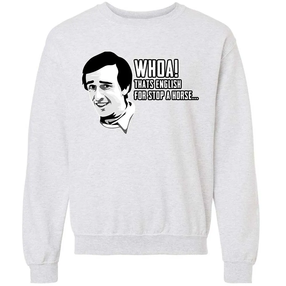 Classic Unisex Sweatshirt - DEES2SYE - Ash - 16