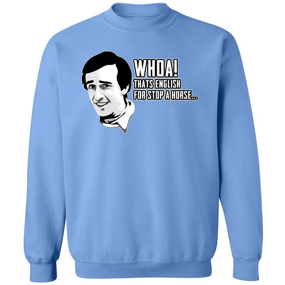 Classic Unisex Sweatshirt - DEES2SYE - Carolina Blue - 20