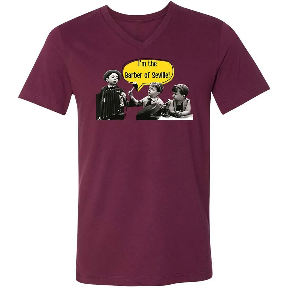 Unisex V-Neck T-Shirt - ANQYQH8G - Maroon - 14