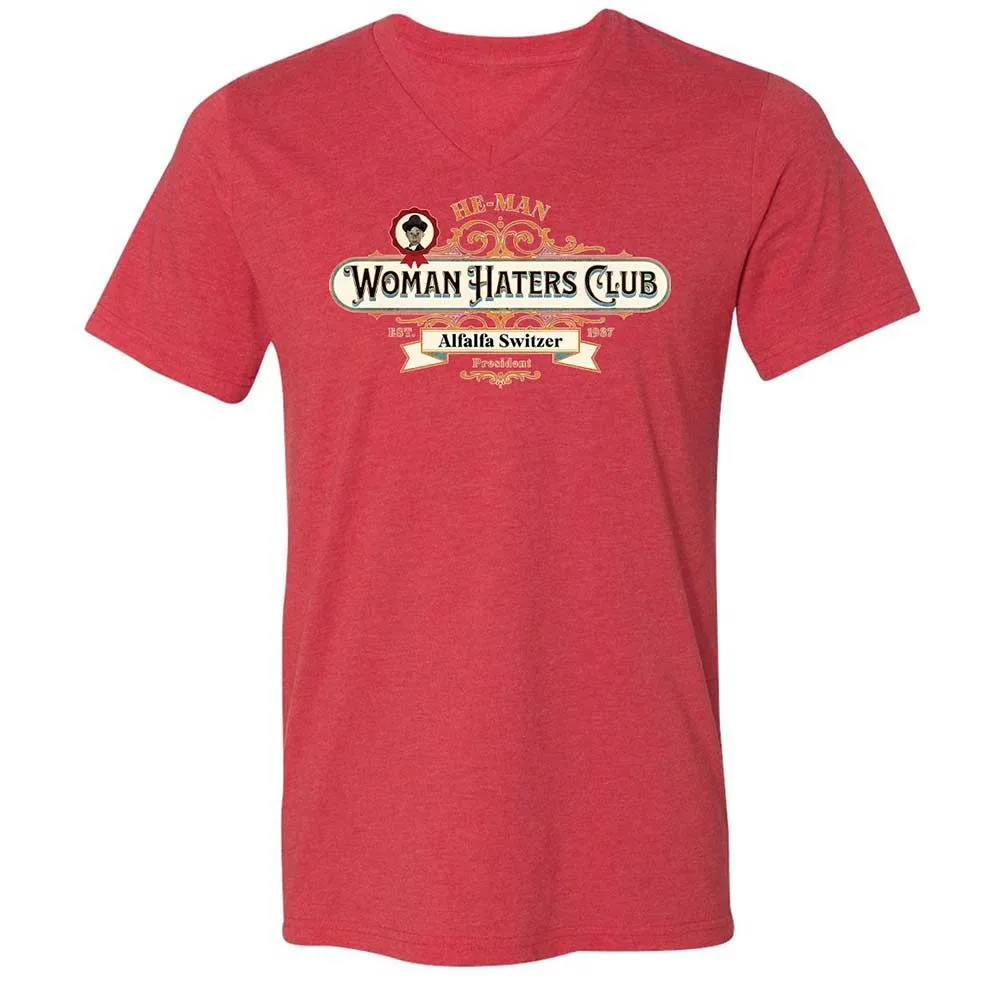 Unisex V-Neck T-Shirt - ZRWKEH1F - Heather Red - 6