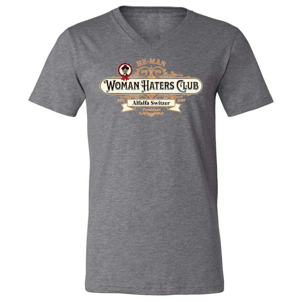 Unisex V-Neck T-Shirt - ZRWKEH1F - Deep Heather - 9