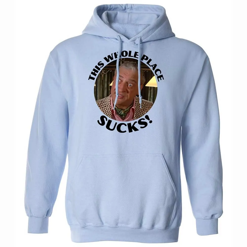 Classic Unisex Hoodie - GVYYUC27 - Light Blue - 5