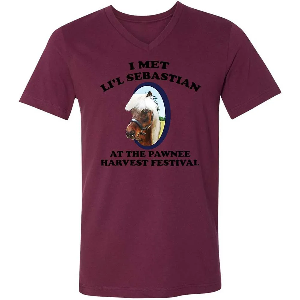 Unisex V-Neck T-Shirt - 8Z1V2HKT - Maroon - 14