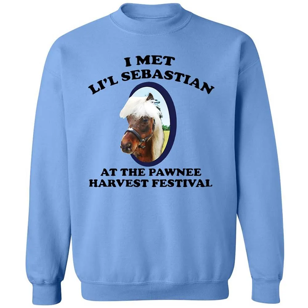 Classic Unisex Sweatshirt - TBM26TRM - Carolina Blue - 5