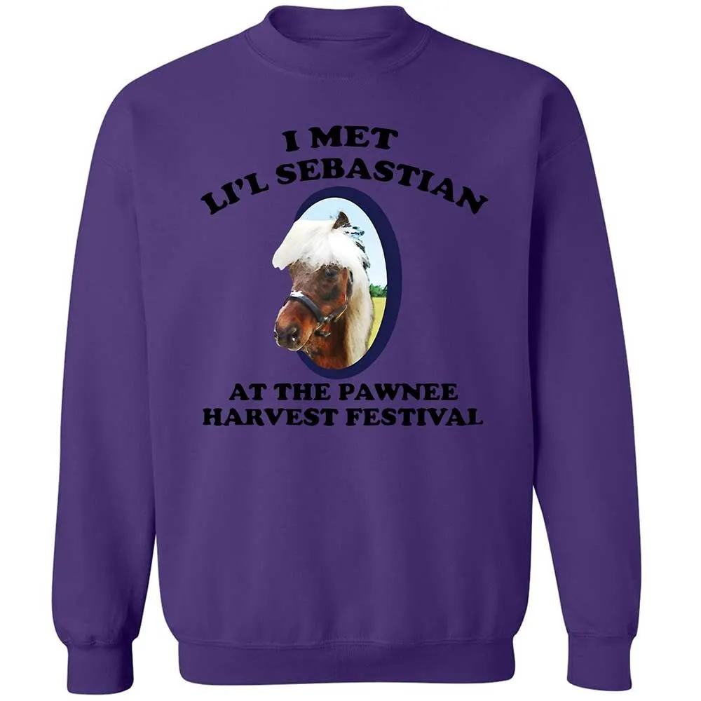 Classic Unisex Sweatshirt - TBM26TRM - Purple - 10