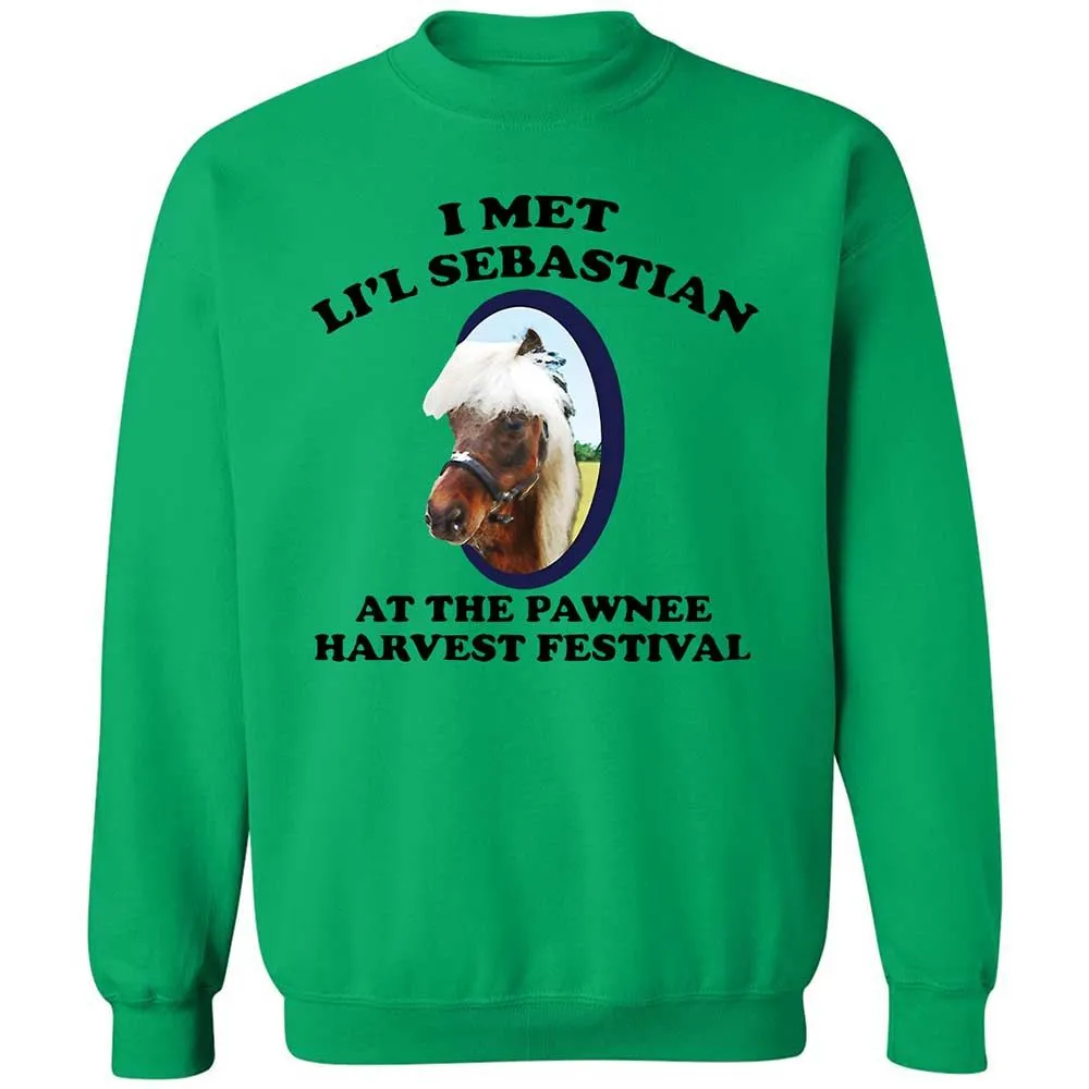 Classic Unisex Sweatshirt - TBM26TRM - Irish Green - 13