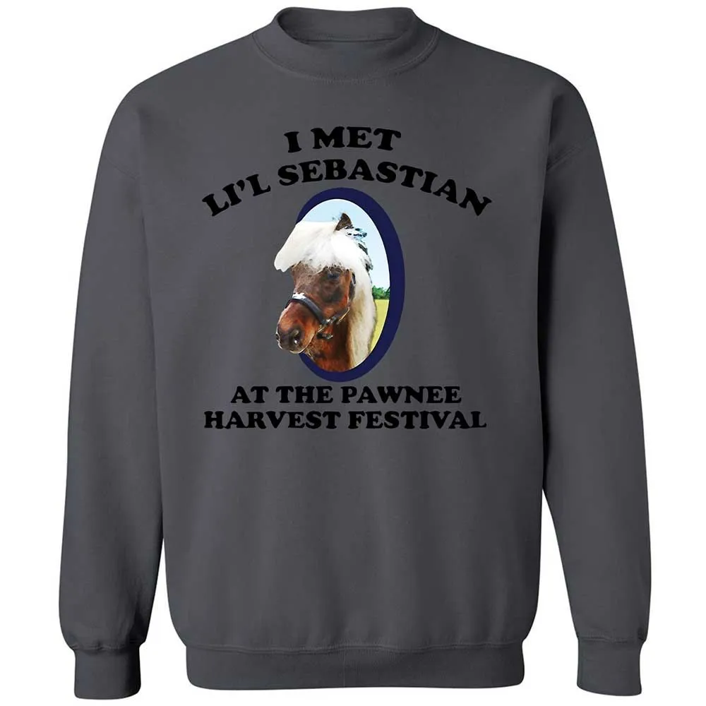 Classic Unisex Sweatshirt - TBM26TRM - Charcoal - 18