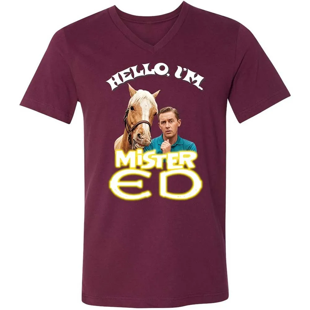 Unisex V-Neck T-Shirt - 95HM1K56 - Maroon - 8