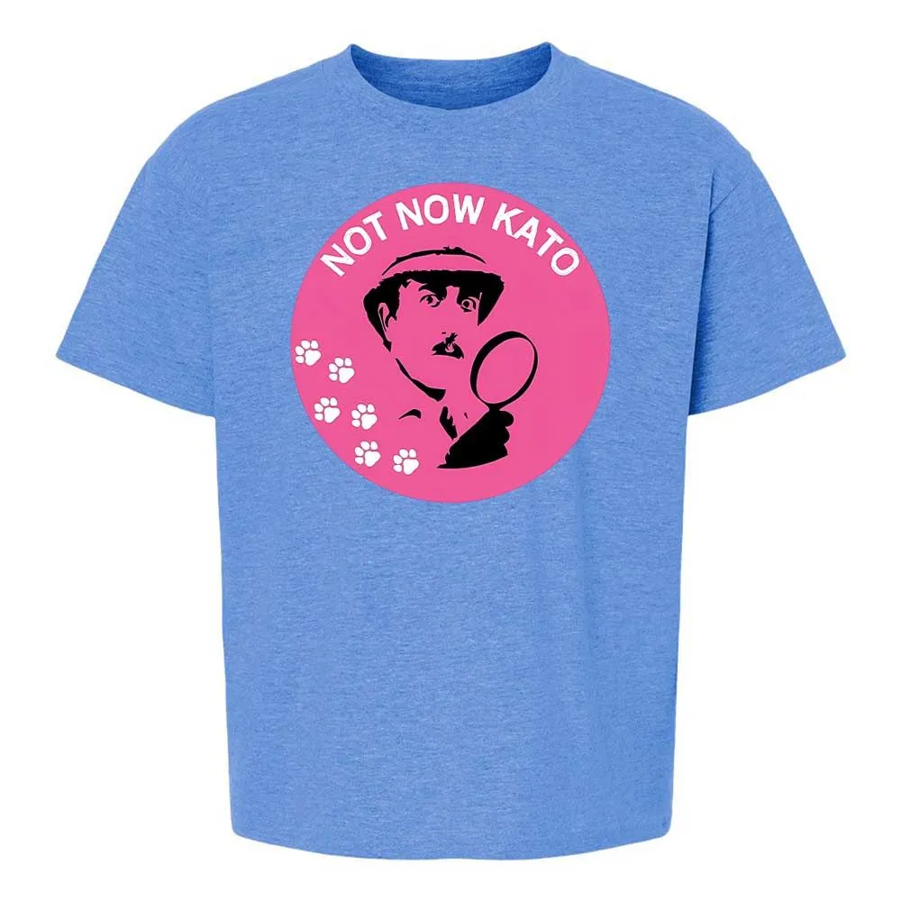 Not Now Kato - Heather Royal - 14