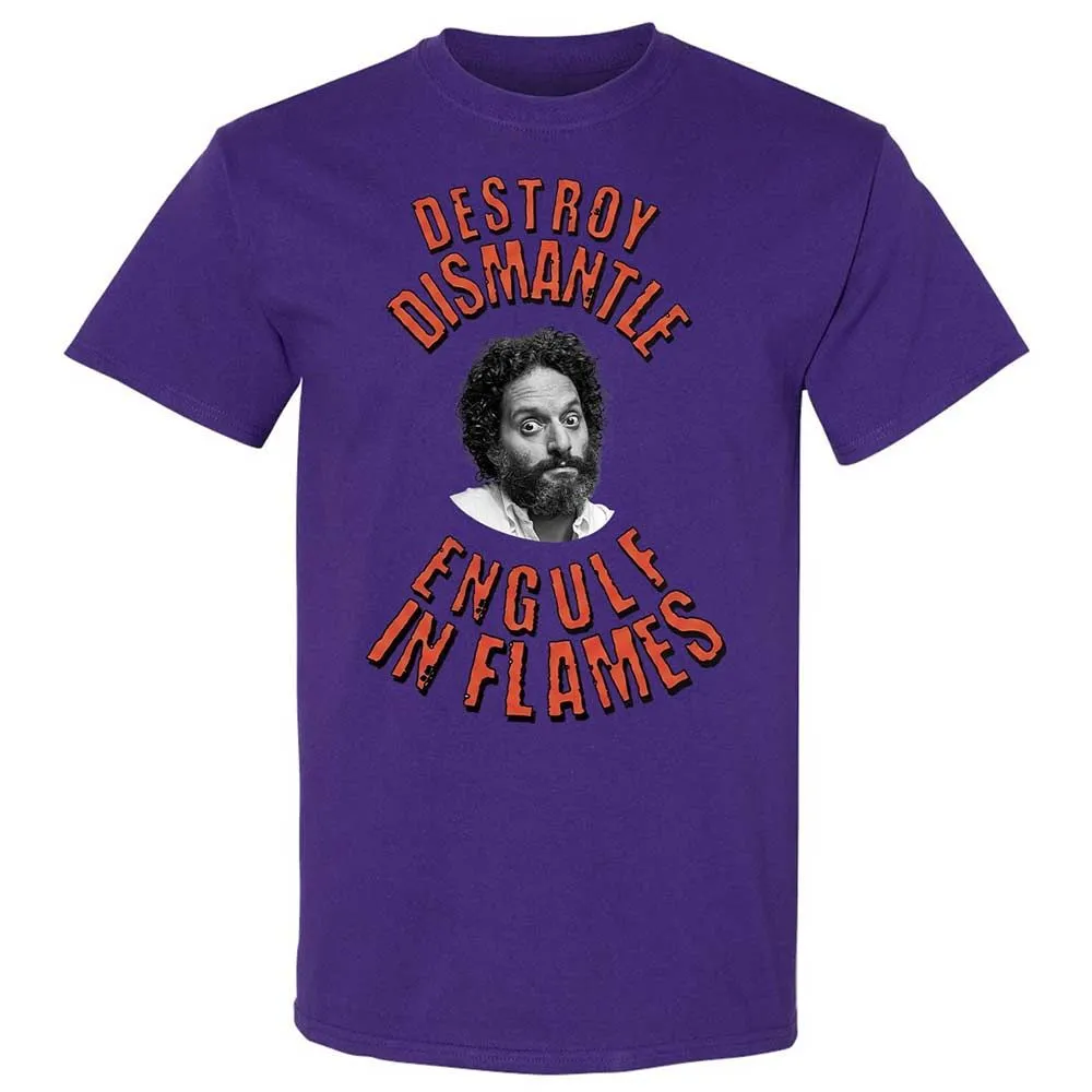 Destroy, Dismantle, Engulf in Flames - Purple - 12