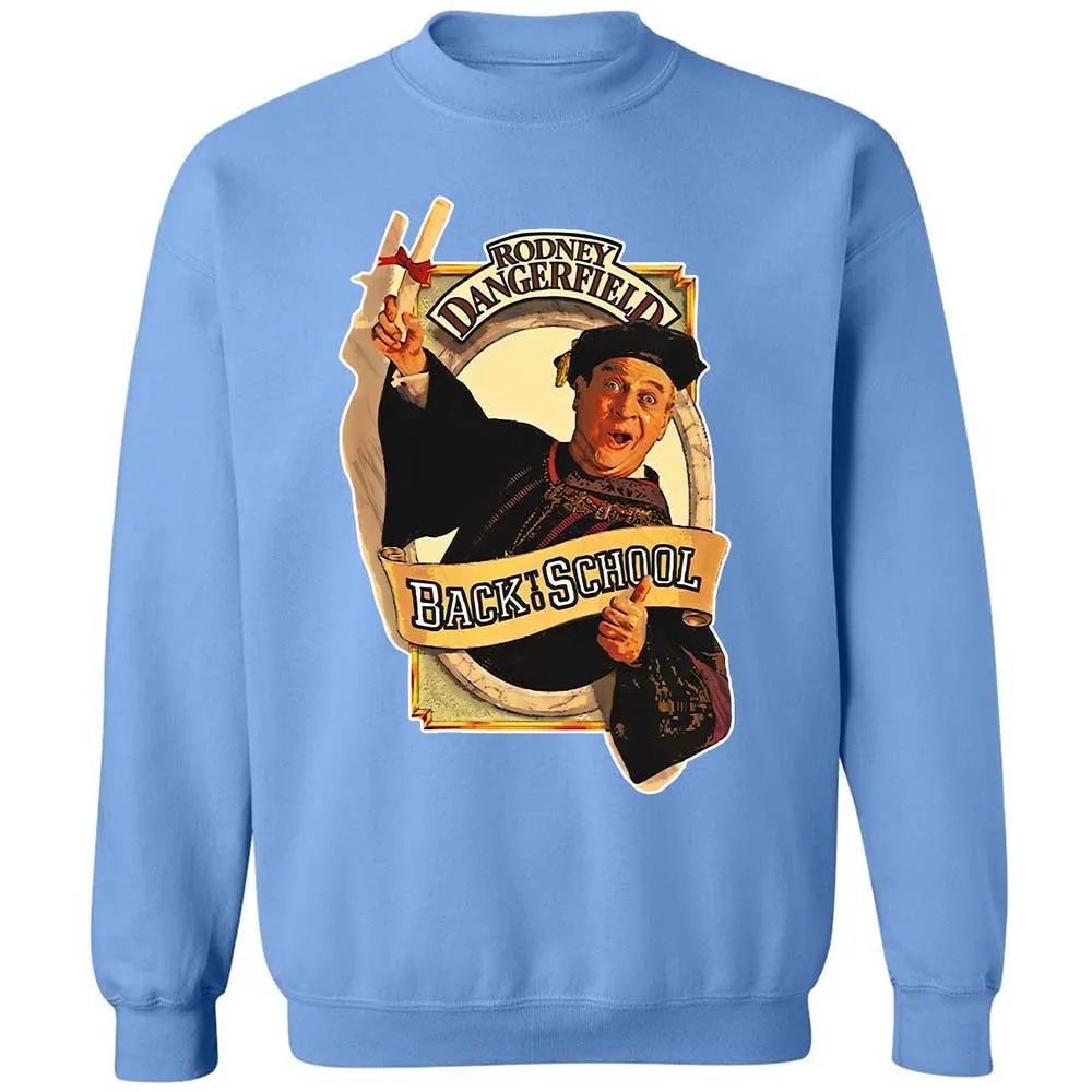 Classic Unisex Sweatshirt - UV93N1JU - Carolina Blue - 20