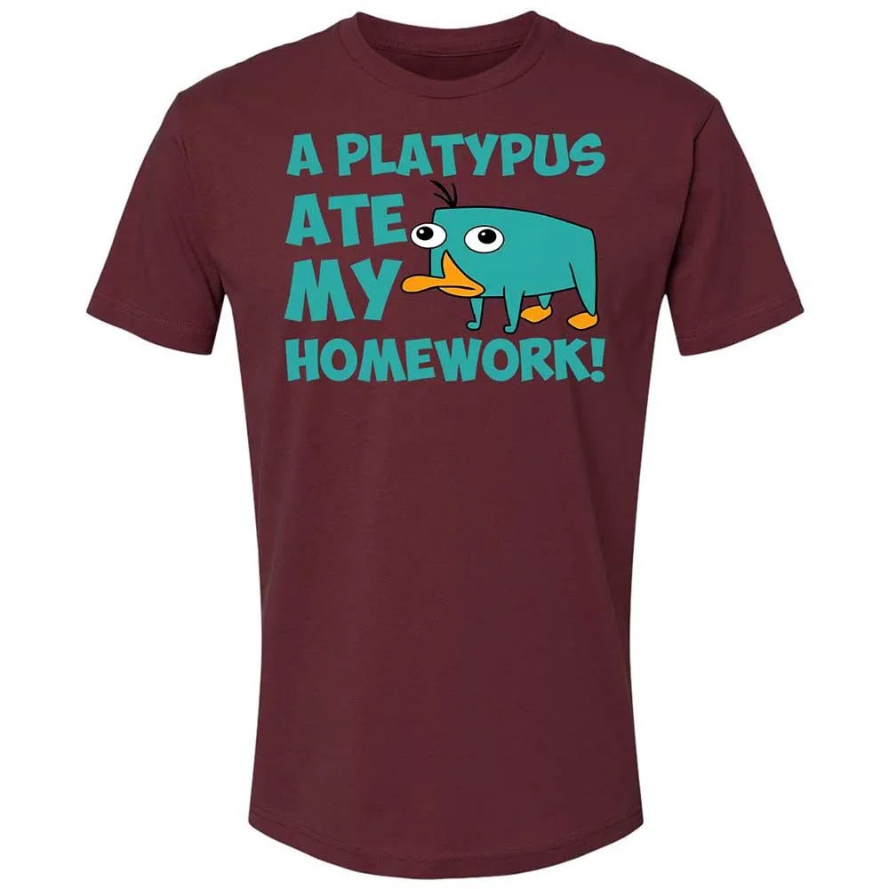 Premium Unisex T-Shirt - 2ST2R69Q - Maroon - 10