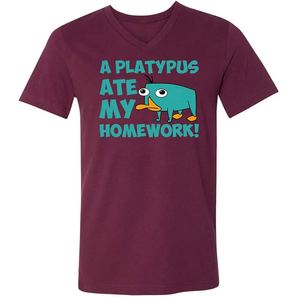 Unisex V-Neck T-Shirt - 5LF2ZZDD - Maroon - 8