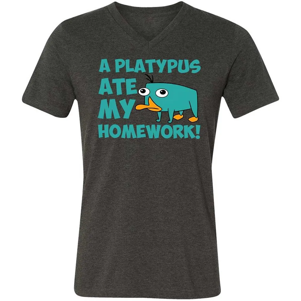 Unisex V-Neck T-Shirt - 5LF2ZZDD - Dark Grey Heather - 9