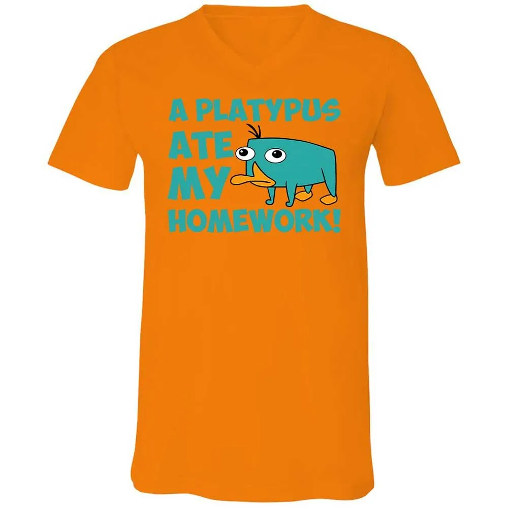 Unisex V-Neck T-Shirt - 5LF2ZZDD - Orange - 12