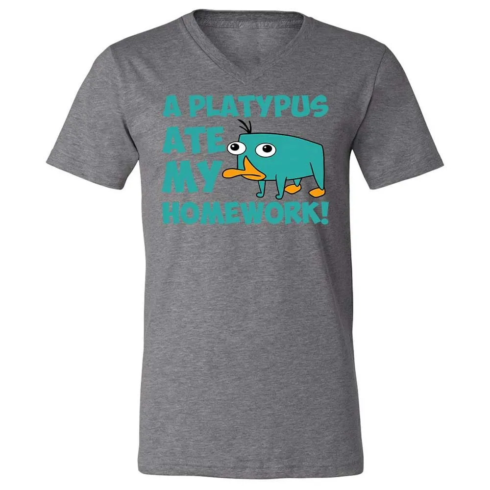Unisex V-Neck T-Shirt - 5LF2ZZDD - Deep Heather - 14