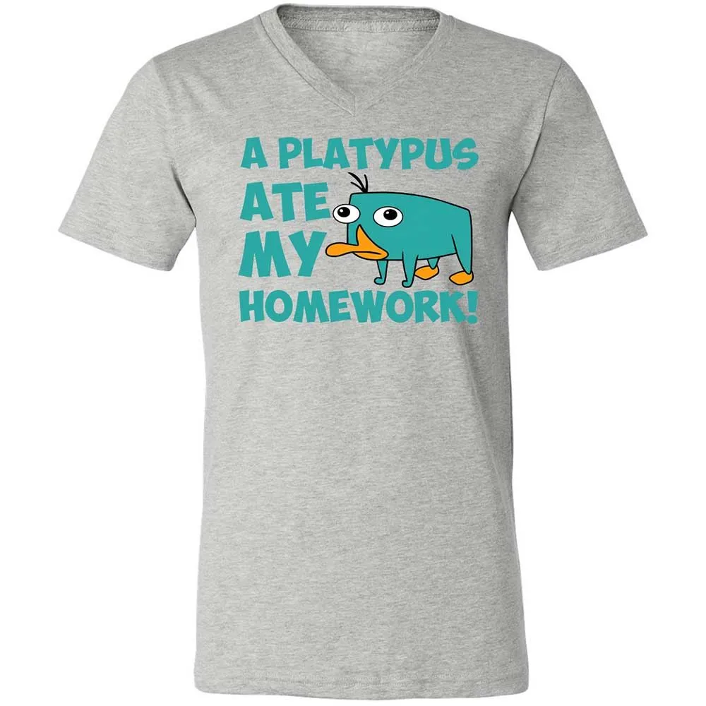 Unisex V-Neck T-Shirt - 5LF2ZZDD - Athletic Heather - 15