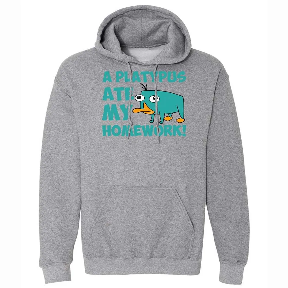 Classic Unisex Hoodie - 6LCQ1Y8Y - Graphite Heather - 4