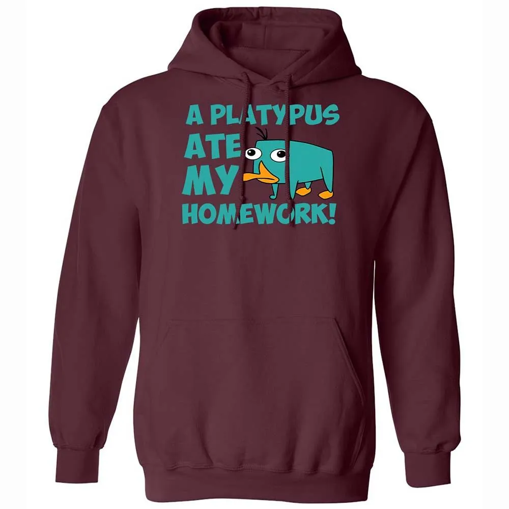 Classic Unisex Hoodie - 6LCQ1Y8Y - Maroon - 7