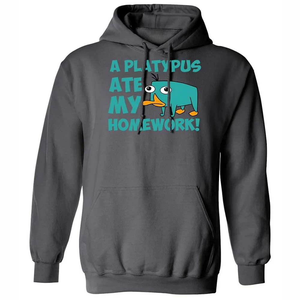 Classic Unisex Hoodie - 6LCQ1Y8Y - Charcoal - 8