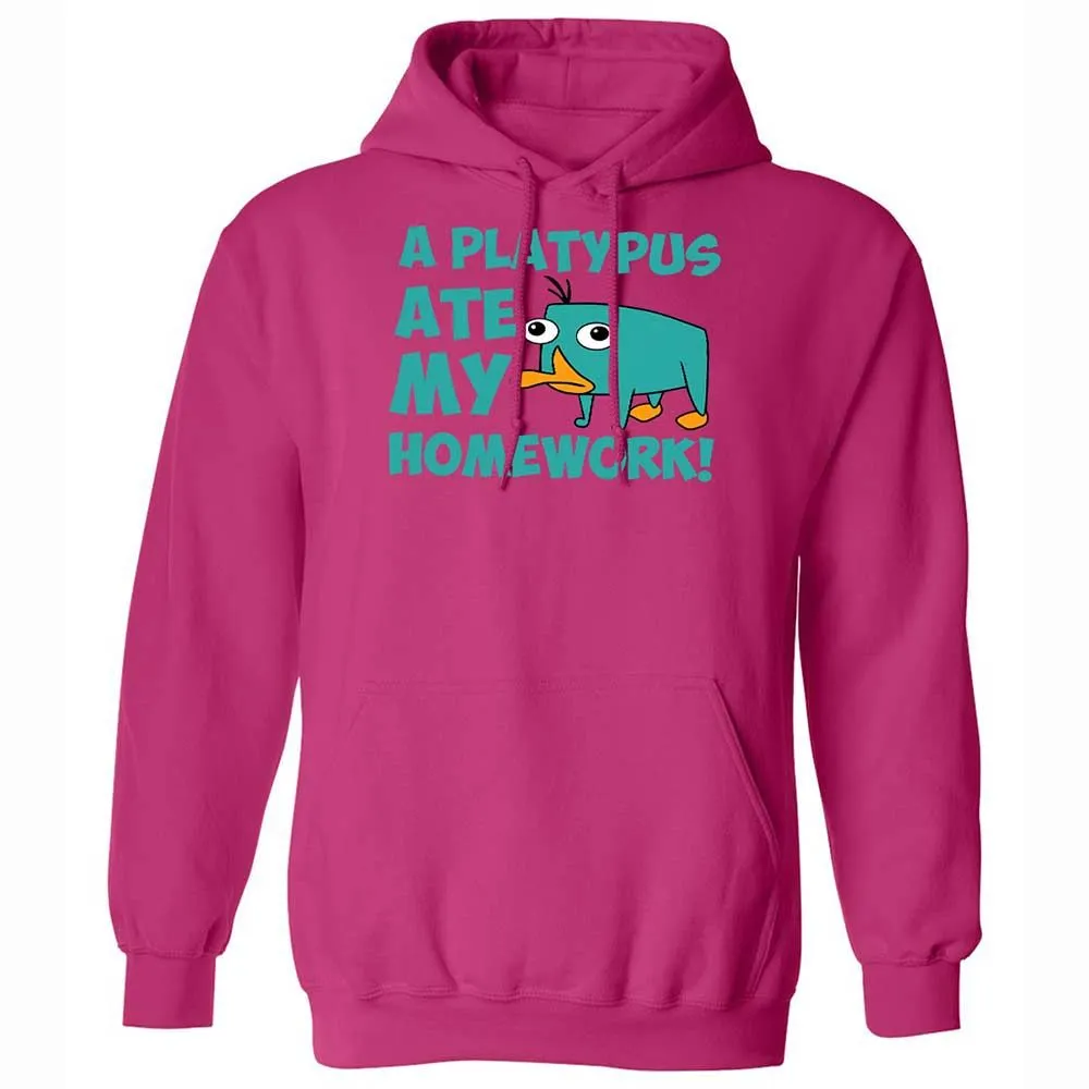 Classic Unisex Hoodie - 6LCQ1Y8Y - Heliconia - 14