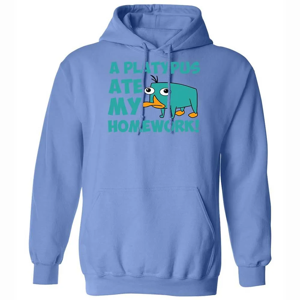 Classic Unisex Hoodie - 6LCQ1Y8Y - Carolina Blue - 16