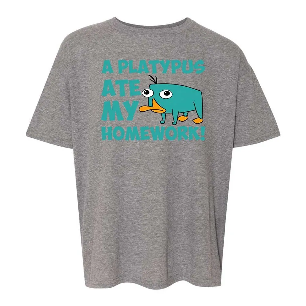Kids T-Shirt - DA3TH5ZN - Graphite Heather - 12