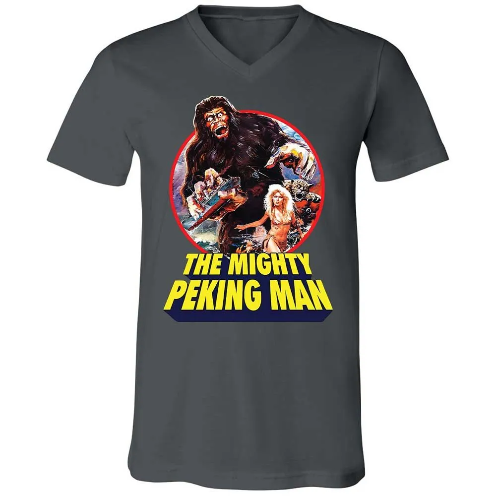 Peking Man - Asphalt - 16