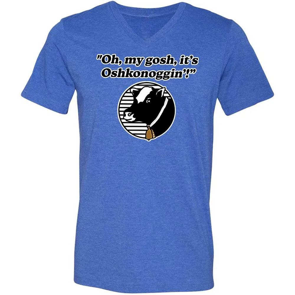 Unisex V-Neck T-Shirt - 1P4VD1AQ - Heather True Royal - 5
