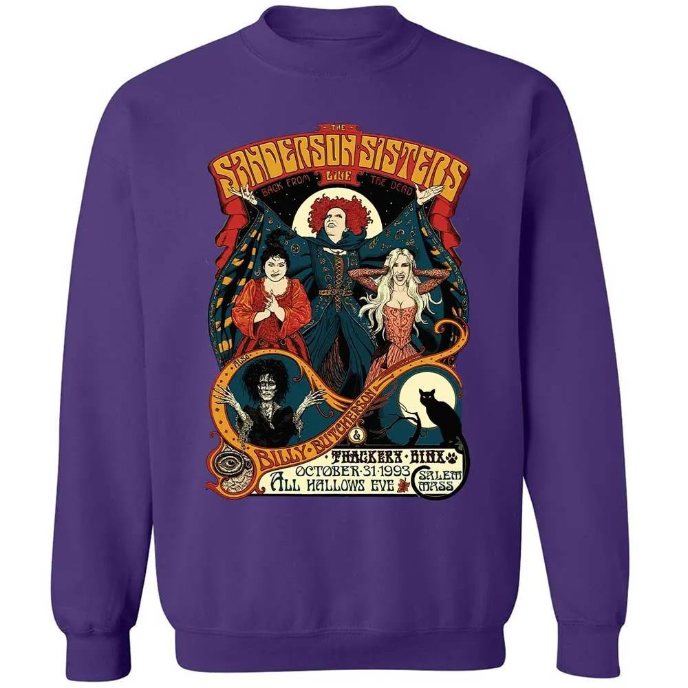 Classic Unisex Sweatshirt - HSA9SVJH - Purple - 11